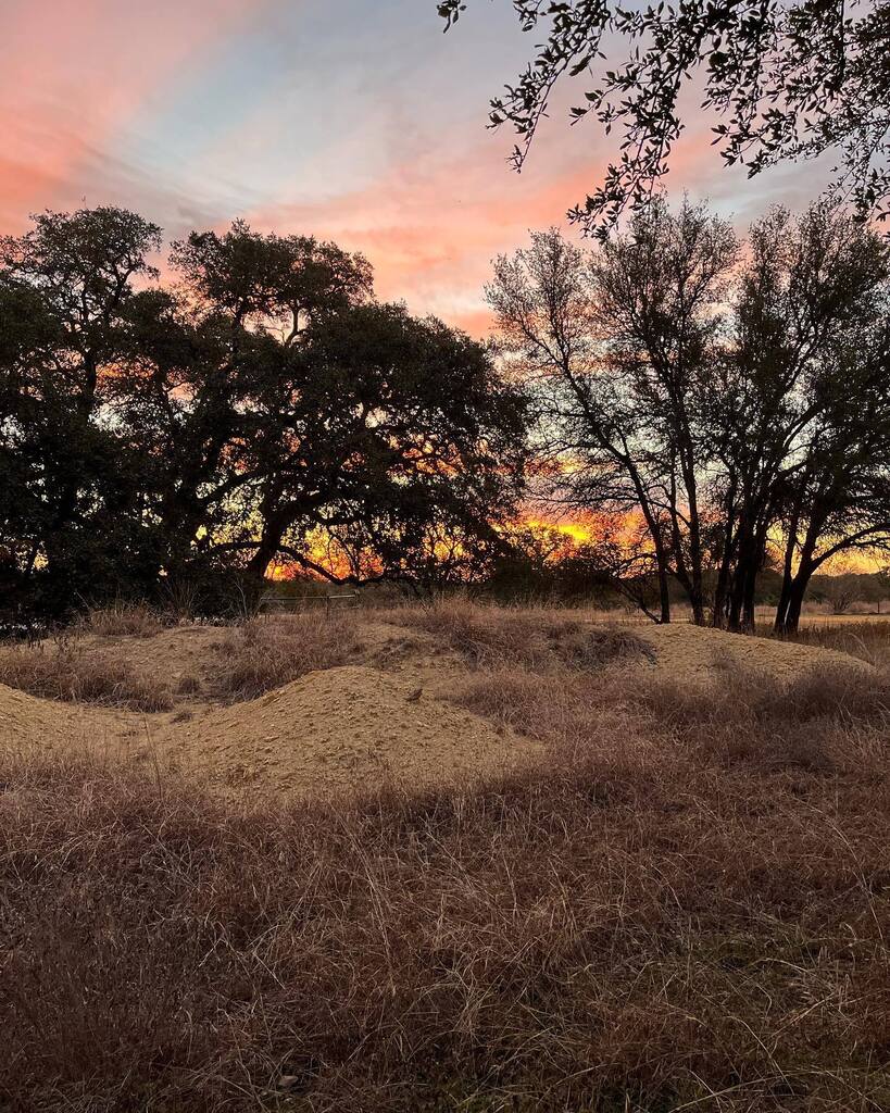 Good luck from #lowdogranch on #fridaythe13th #texashillcountry instagr.am/p/CnXGYvGrlaW/