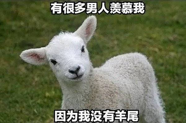 remandtop's tweet photo. 上一次班就是一个月。

要憋炸了！

感觉只要轻轻一吸，就能品尝到甘美的浓汁（真不是早泄😂） https://t.co/BoWsRJY5Ry