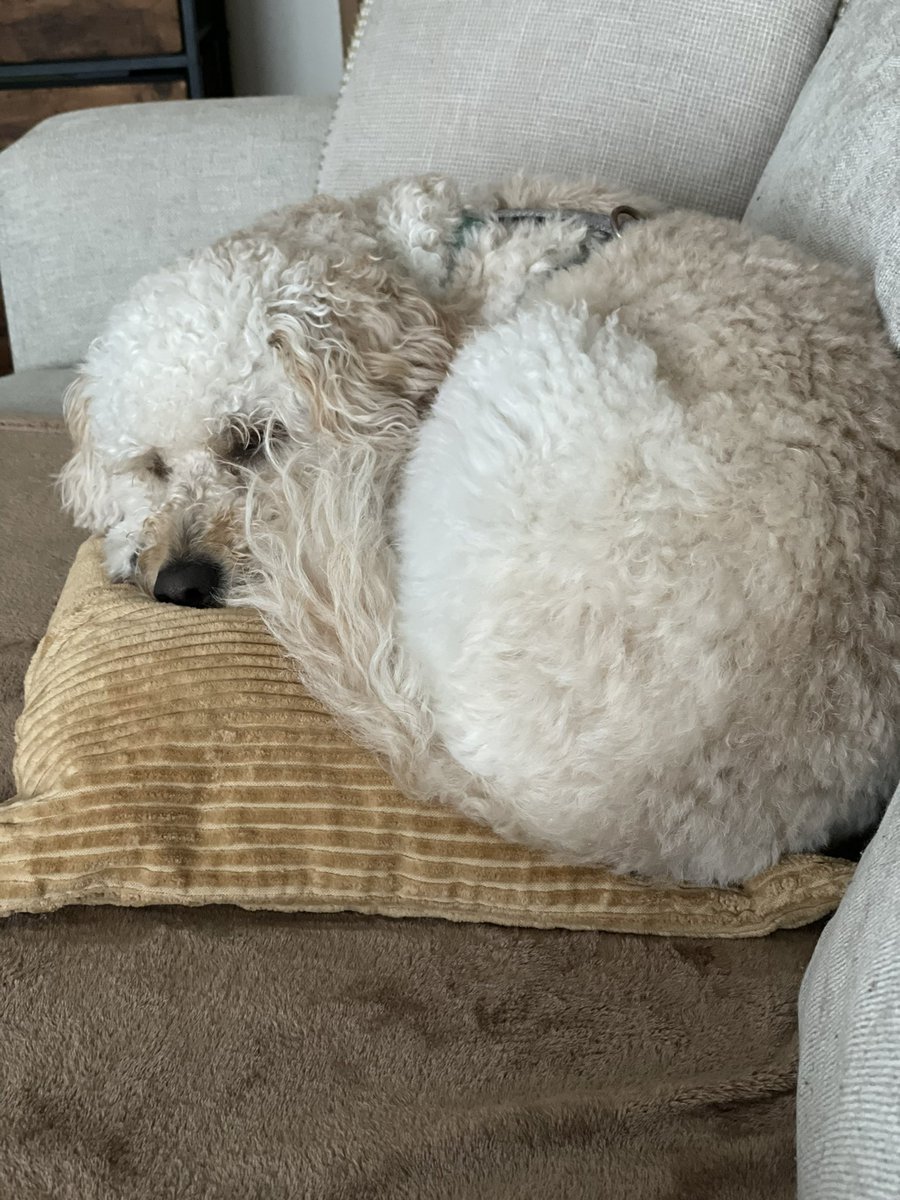 Tricia Friedman tweet media