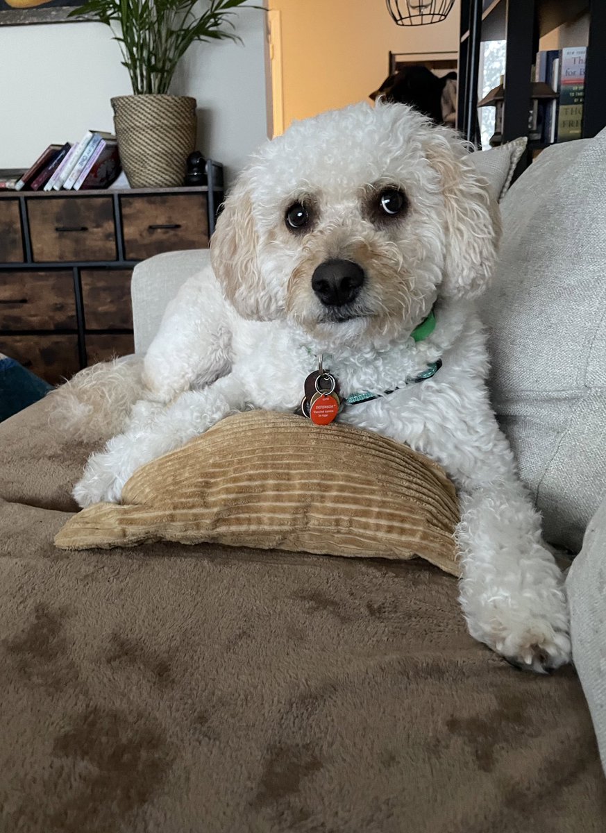 Tricia Friedman tweet media