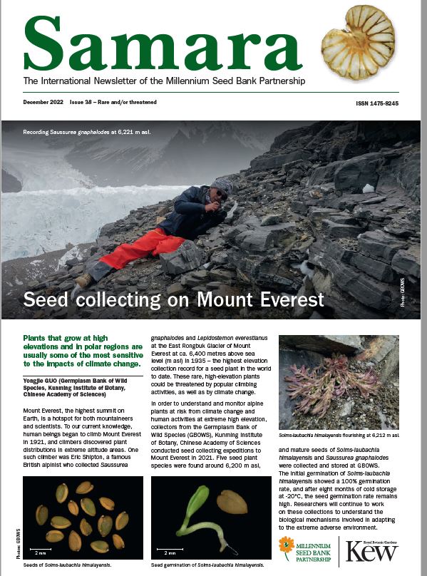 Michael Way (@michaelway88) on Twitter photo How can seed banks help recovery of threatened species? The Dec issue of the @KewScience Samara newsletter bit.ly/3CMAK9M has highlights from around the Millennium Seed Bank Partnership and a guest article from our friends <a href="/IUCN_Seeds/">IUCN Seed Conservation Specialist Group</a>. Enjoy! How can seed banks help recovery of threatened species? The Dec issue of the @KewScience Samara newsletter bit.ly/3CMAK9M has highlights from around the Millennium Seed Bank Partnership and a guest article from our friends <a href="/IUCN_Seeds/">IUCN Seed Conservation Specialist Group</a>. Enjoy!