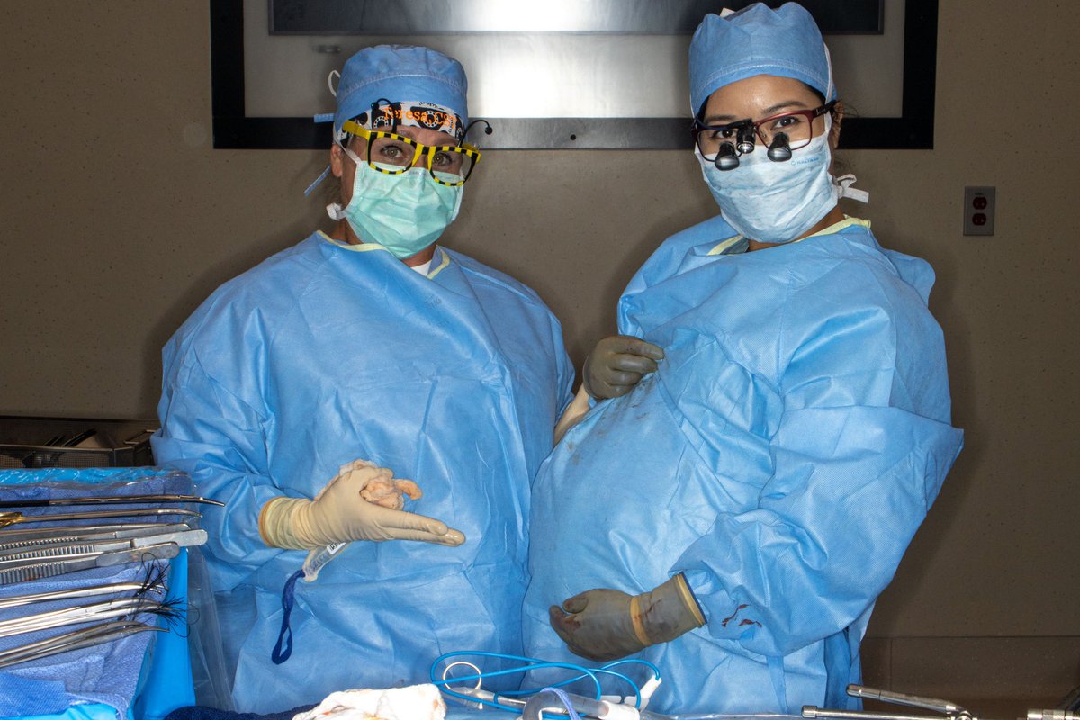 Michelle C. Nguyen MD, MPH tweet media