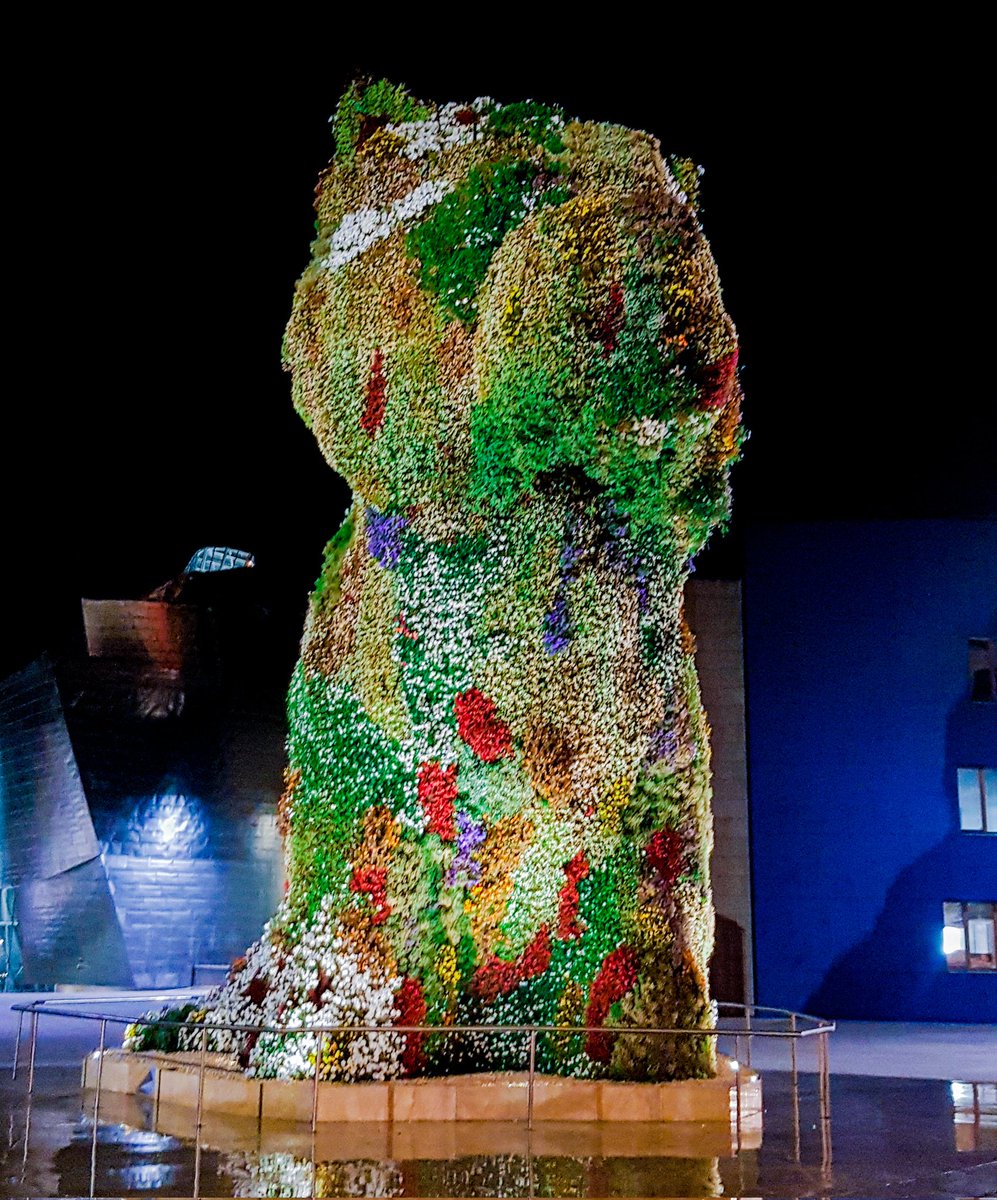 AuthenticBasque's tweet photo. The Puppy in front of the Guggenheim is a great place to capture a shot.

Our next post on the best places for night photography in Bilbao!!! 📸

Meanwhile check out this:
https://t.co/Oq3m2jUNmV

 #bilbao  #basque #spain #españa #visitspain #puppy #nightphotography  #photography https://t.co/FbHICzB4tR