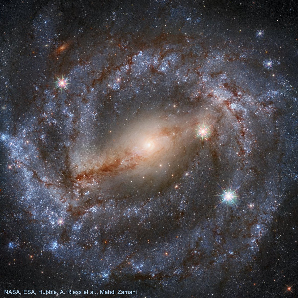 Today Chandra is gazing at a galaxy in the constellation Lupus, the wolf. Nearby in the sky is galaxy NGC 5643. Located about 55 million light-years from Earth, the core of this galaxy glows brightly in X-rays where a supermassive black hole is feeding on vast amounts of matter.