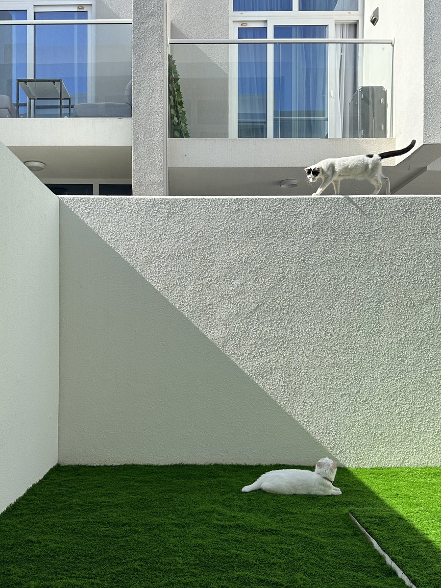 valerieisdead's tweet image. Я сегодня сделала красивую фотку и ее все хвалят поэтому выложу сюда что бы вы тоже хвалили