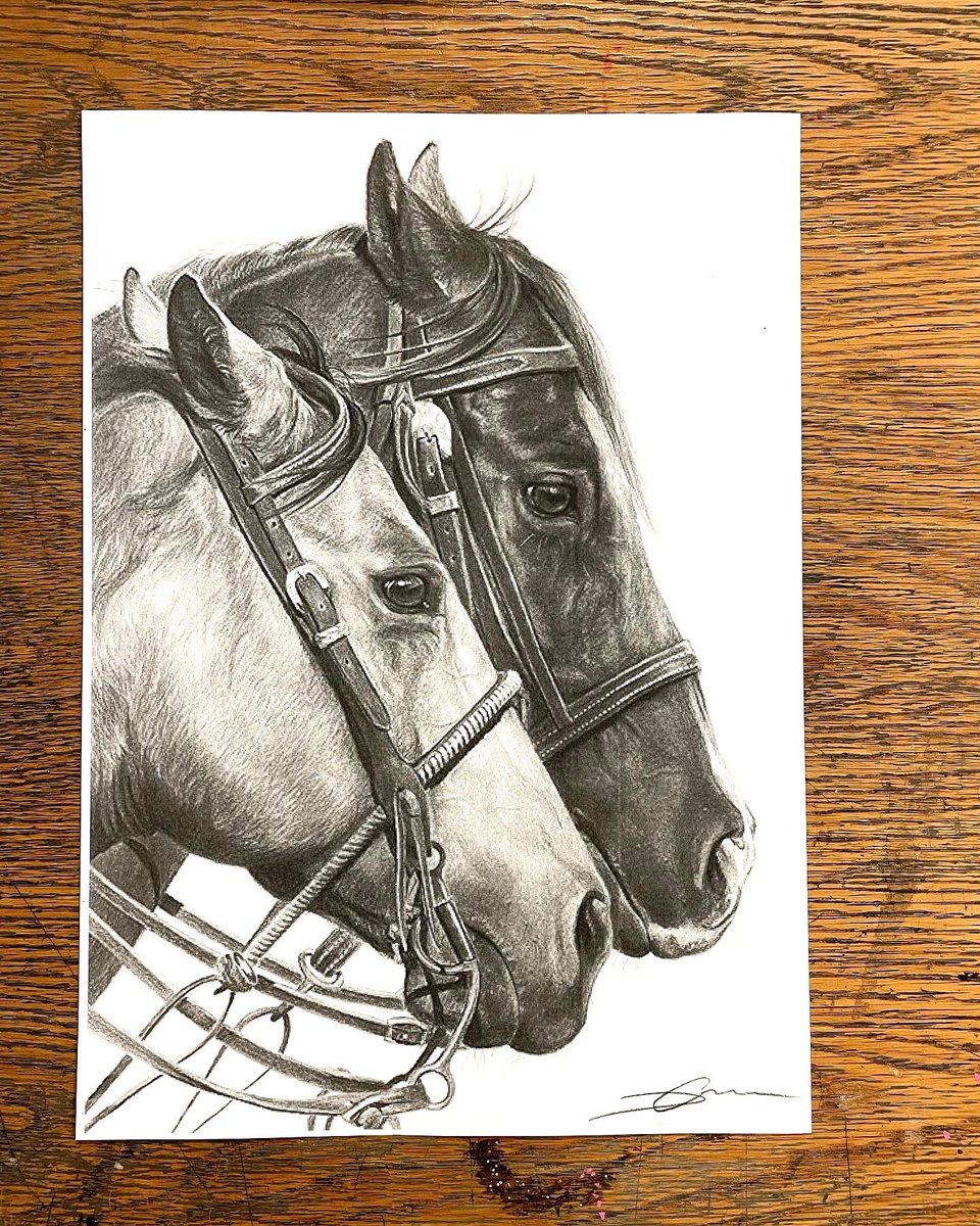 Horse Portraits, drawn using pencil onto 300 GSM gallery paper 🐴🐎 #horse #horsedrawing #horseart #horses #horseportrait <a href="/HorseRacingUK/">Horse Racing News</a> <a href="/HorseRacingKK/">Kevin Kerstein</a> <a href="/BHAHorseracing/">British Horseracing Authority</a>
