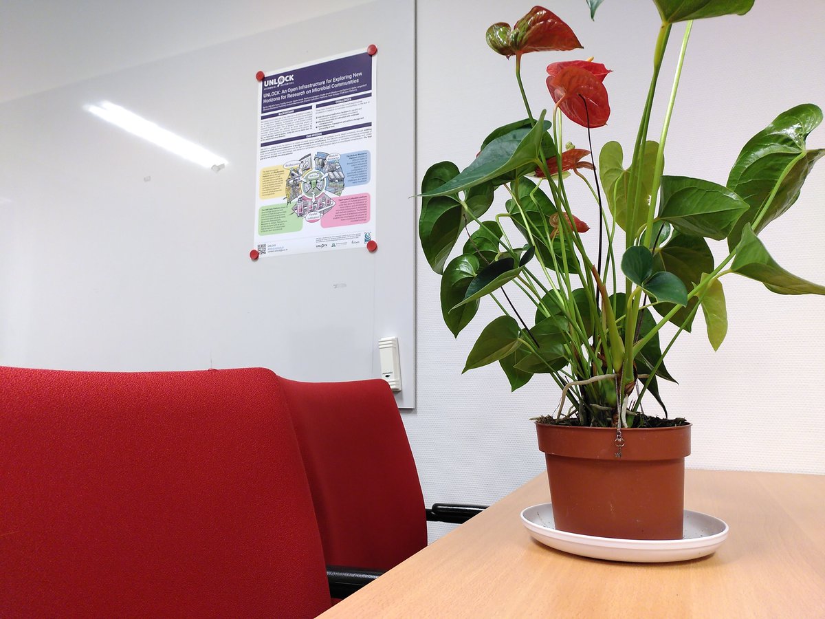 What's keeping the office alive during the weekend?🪴One reason why office plants are key. Have a nice weekend!

🗝️PS Can you spot the left-over Christmas decoration?  #BehindTheScenes #UNLOCK #UNLOCKMicrobialPotential