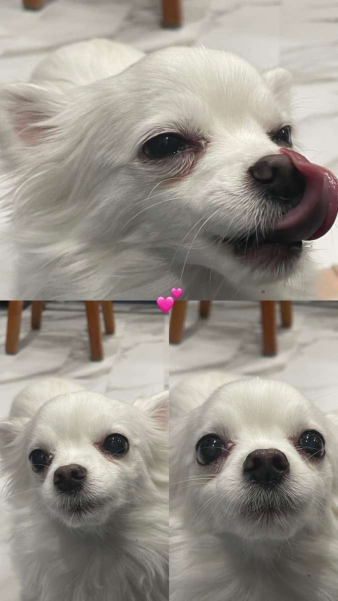 enjo_cho's tweet photo. 이게 어떻게 14살이야 아직 애긔구만 https://t.co/YHeFjzagPE