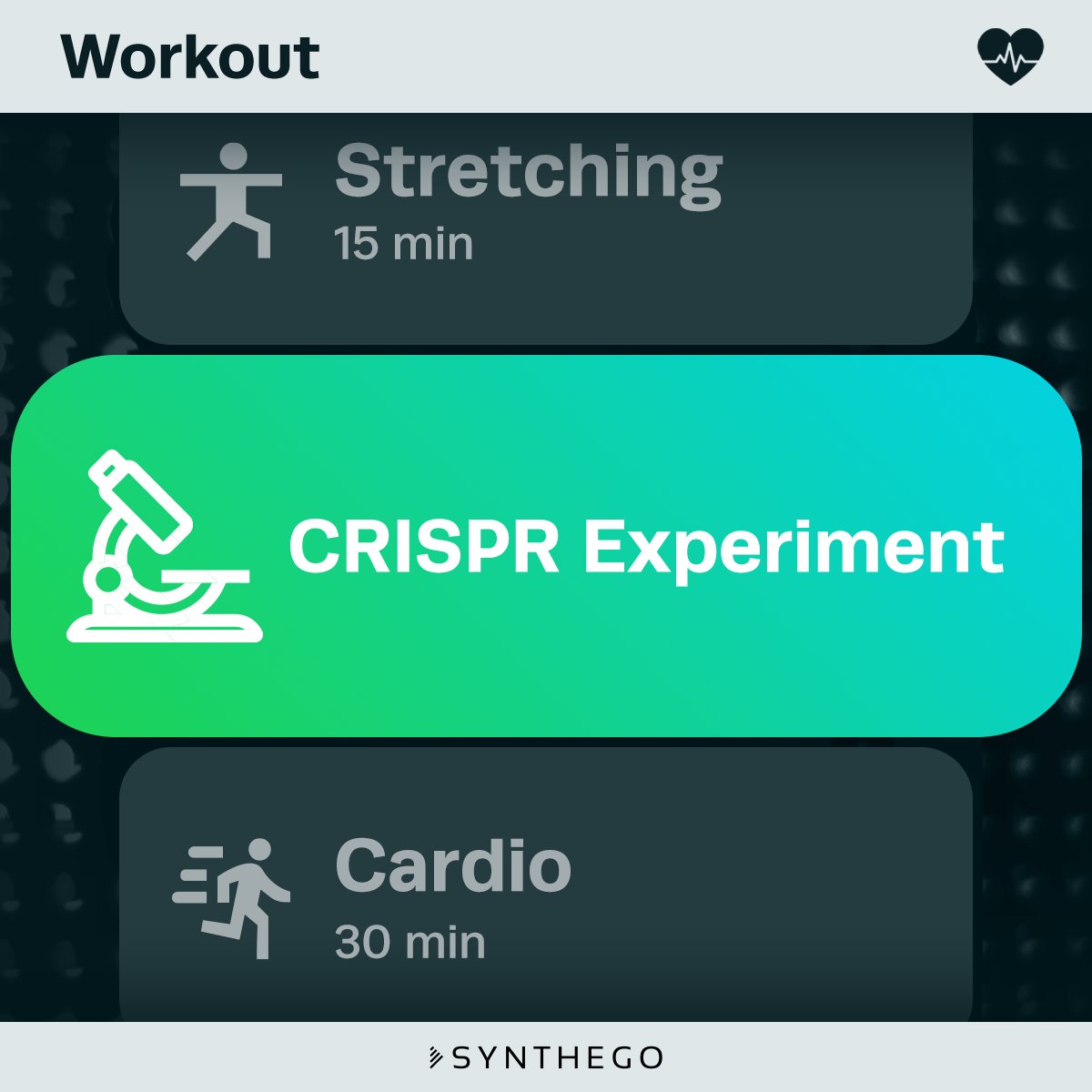 Synthego's tweet photo. Keep your experiment from taking over your resolution to work out, and keep #CRISPR from becoming one. Let Synthego's #EngineeredCells do the heavy CRISPR lifting for you while you take all the credit. 👉 https://t.co/fmIBRSuBUj https://t.co/fHp3RuGdN3