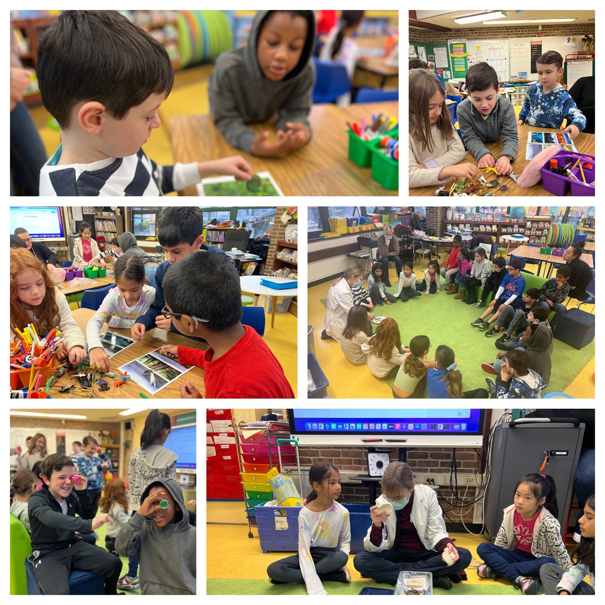 Amber Rago tweet media