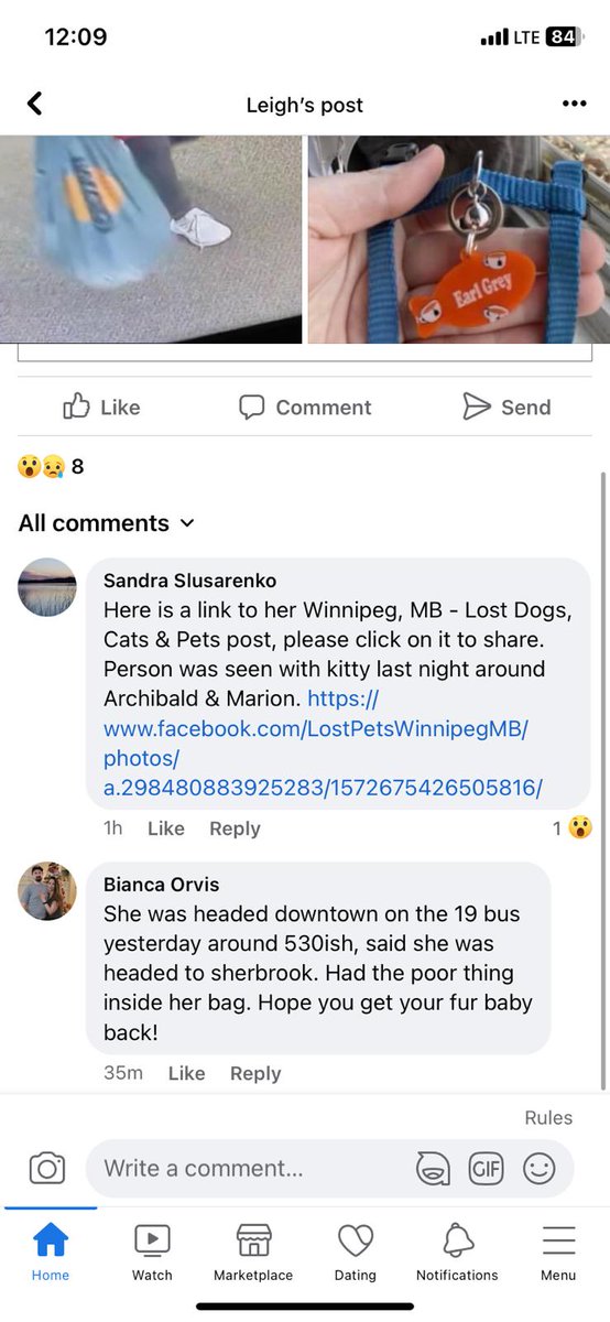 Rena Jae tweet media