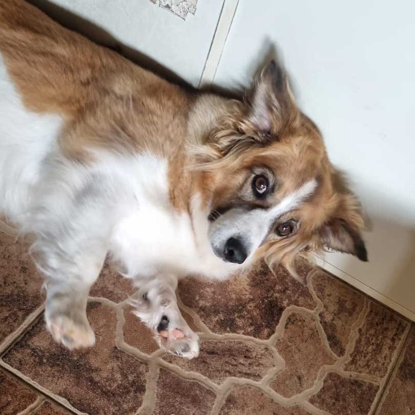 ANAfilatica's tweet image. Todo dia uma foto da Cindy, vou começar uma thread.

1. Cíntia desconfiada