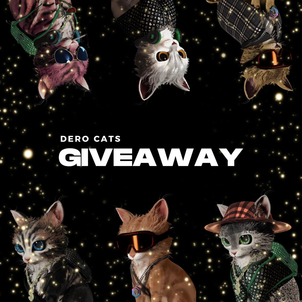 Dero Cats ❖ tweet media