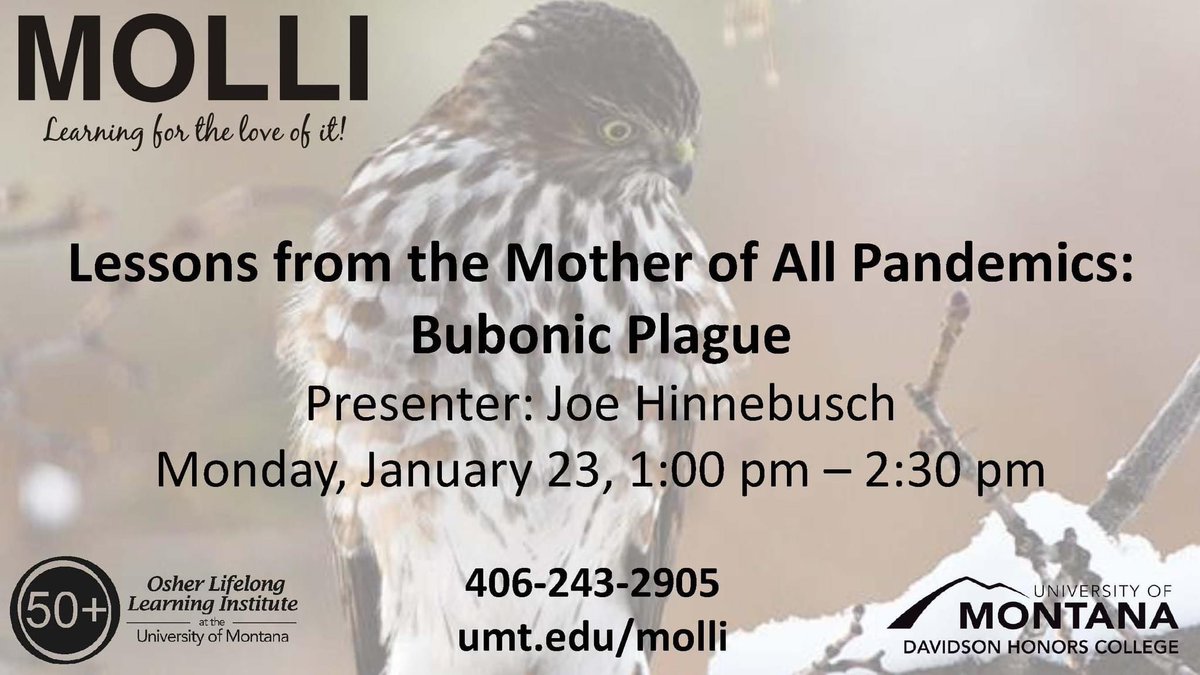 Don’t forget to check out our upcoming events! Visit until.edu/Molli for more information!