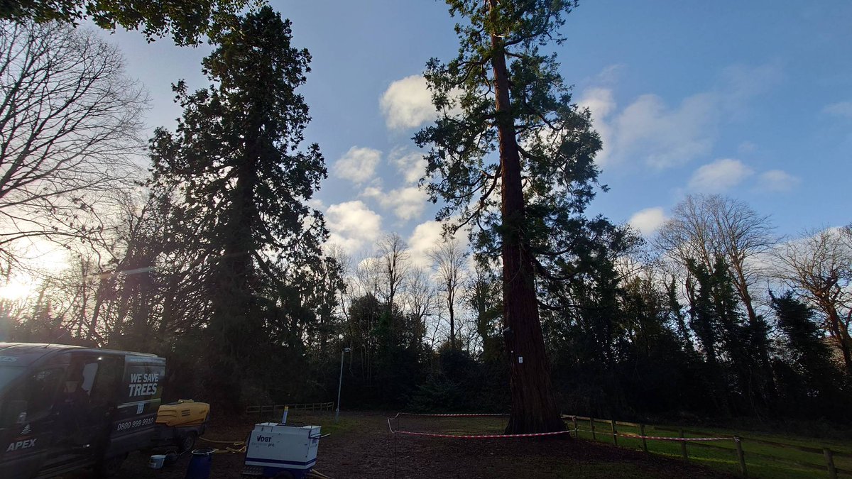 ApexSoil's tweet photo. This week we've been in the Bristol working on a Wellingtonian Tree

It's one of two sisters and struggling due to compacted soil

We decompacted the car park area and injected 240kgs of Enriched Biochar

We hope this will give this beautiful tree 500 years life https://t.co/NWhM7Q3T9k