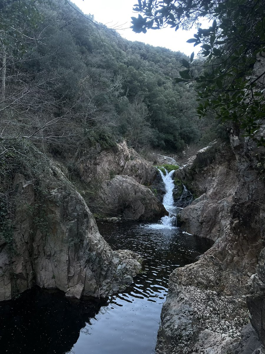 Ursula_mia_86's tweet photo. Al natural y en plena naturaleza ππ
644921262
https://t.co/K1TnPWbohA
#photooftheday #alnatural #fetiches #orgulloputa #putarural #putapunk #sexwork #onlyfans #citas #placer #photoshoot #trabajosexualestrabajo #videos #videollamadas #puta https://t.co/L2QKzjzCgj