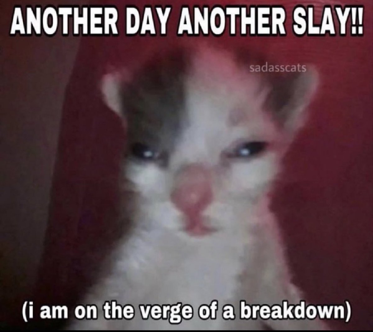 creaticreaTEA's tweet photo. Good morning heroes 
Another day another slay https://t.co/jSVb6RcYuD