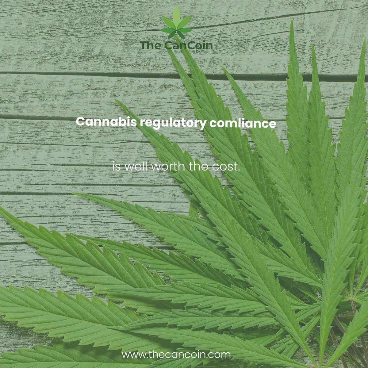 thecancoin's tweet photo. Past few years has been great for #cannabis industry in European countries, and yes, we are excited to see more! Focusing on Germany, Czechia and Switzerland as they are leading the march forward to the boundaries of reform across the continent.  1/2 https://t.co/bUmjxj5RFD