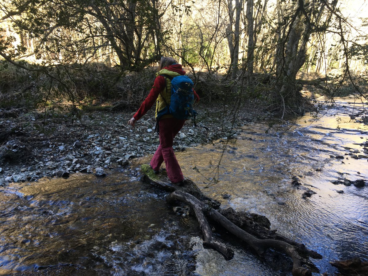 SCALED ERC Project tweet media