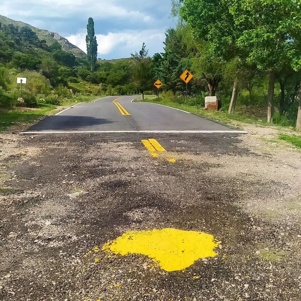 Alvaro G. Ghisolfo tweet media