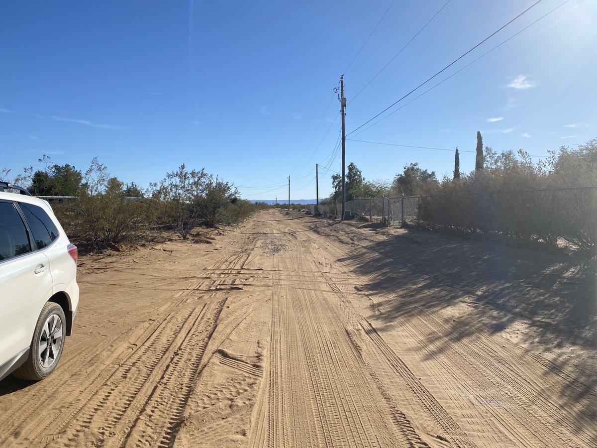 landmonkeycom's tweet image. 