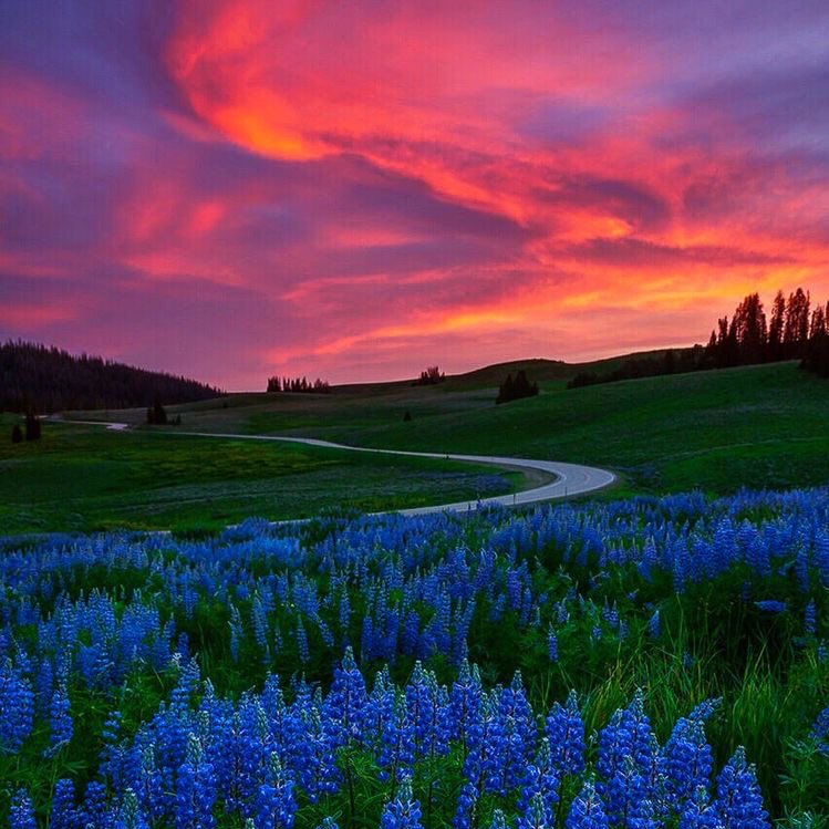 skies like this