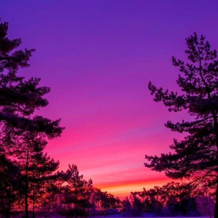 violettweets_'s tweet photo. skies like this https://t.co/HpcrJx7q76