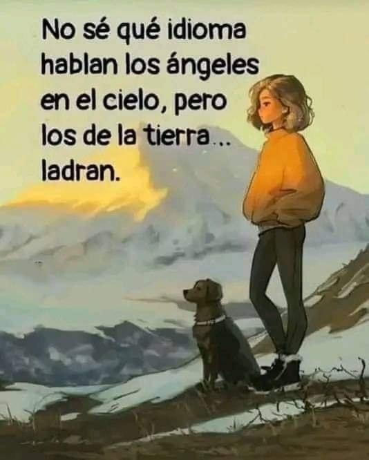 Perrosenlacalle's tweet photo. Me encantó 🐾 Aquí ladran https://t.co/NKYid0JDhg