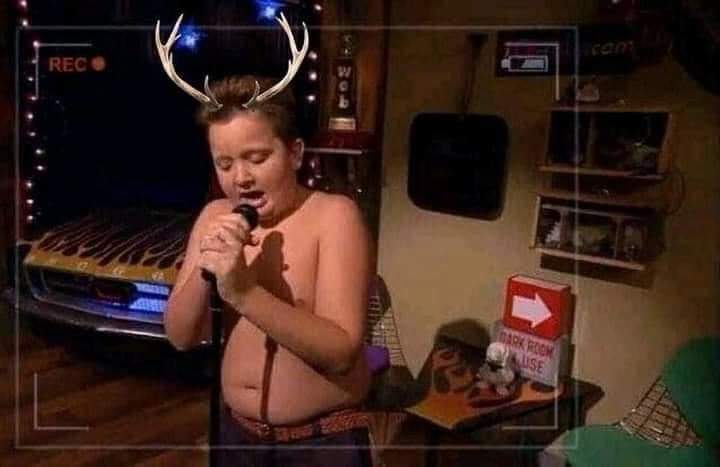 tenderquokka's tweet photo. *suena la canción “el venado”

las chanistas: https://t.co/gnHJ4f4OUM