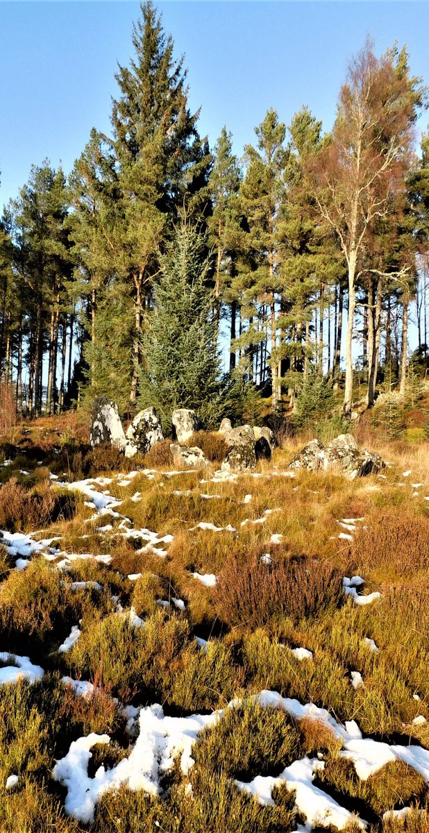 Baldoon Chamber Cairn, north west of Alness, Scotland.