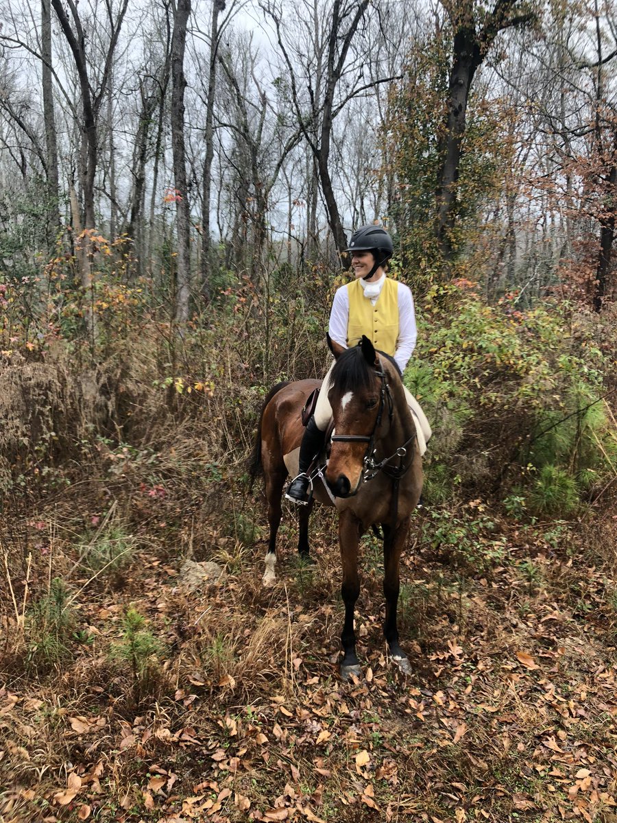 AshwellStable's tweet photo. #AshwellGrad MY MOONSHINE (KY) enjoying his new career foxhunting with the Rothell Family in Camden, South Carolina w/ the Wateree Hounds! Retired sound from Young Racing, now loving running &amp; jumping in the First Flight ✨🦊🐎 @LeslieYoung1 @JohnRothell1 #nsa #usasteeplechase https://t.co/rucnnqTQSw
