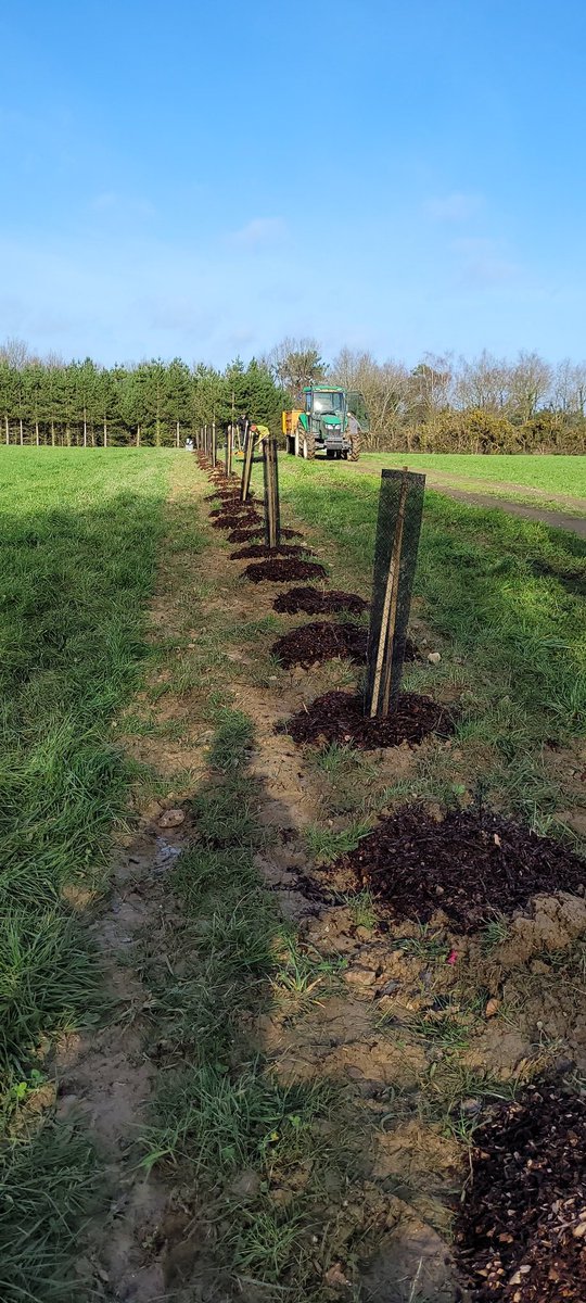 jylls35's tweet photo. Changement de bureau ce matin : opération plantation de haies bocages avec @YvesRocherFR. Une belle matinée dans mon fief breton de La Gacilly #ReconnectPeopleToNature https://t.co/Tbbvl7cWDB