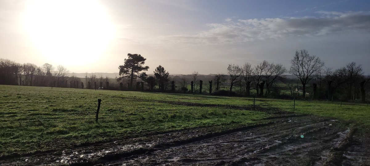 jylls35's tweet photo. Changement de bureau ce matin : opération plantation de haies bocages avec @YvesRocherFR. Une belle matinée dans mon fief breton de La Gacilly #ReconnectPeopleToNature https://t.co/Tbbvl7cWDB