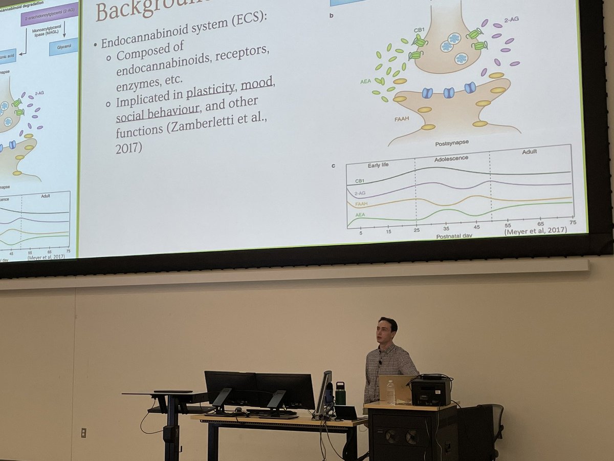Today in our #brainbytes <a href="/NeuroCarleton/">NeuroCarleton</a>, <a href="/parkie_30/">Mike Parkhill</a> is presenting his work on the use of canabidiol to treat “core” ASD phenotypes in mouse models