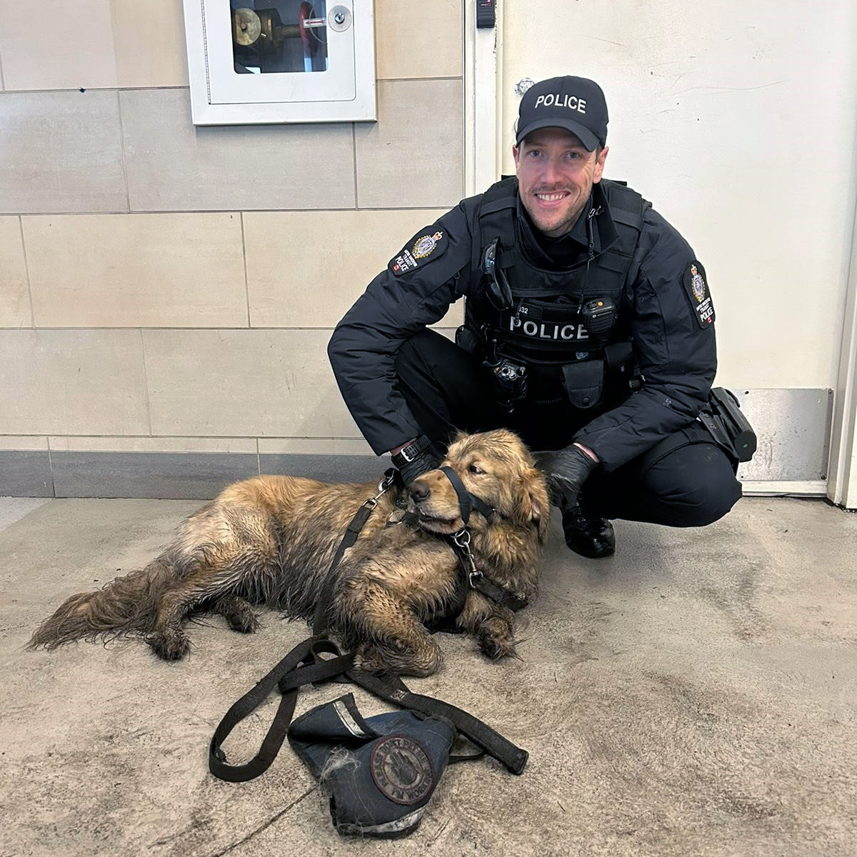 TransitPoliceBC's tweet photo. Mosha's leash got caught in a Canada Line train's doors after her owner made it on board, but she didn't. Thrown into the guideway, Mosha was unhurt, but scared, and ran into the tunnel. Luckily our officers & @TransLink staff found Mosha & reunited her with her human. https://t.co/Wwu8NbGhsc