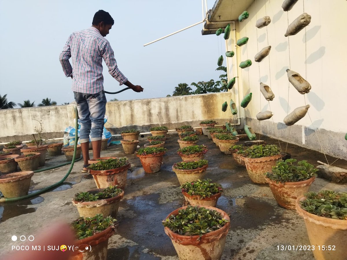 MoynaNss's tweet photo. #RegularActivities 
#PouringWaterontheRootofTrees
#NSSMoynaCollege 
@ianuragthakur @NisithPramanik 
@pankajsinghips @YASMinistry 
@_NSSIndia @rdnss_kolkata
@vinaynssrd @VidyasagarNSS 
@dblab_endophyte @NssMoyna https://t.co/0l65WDusXw