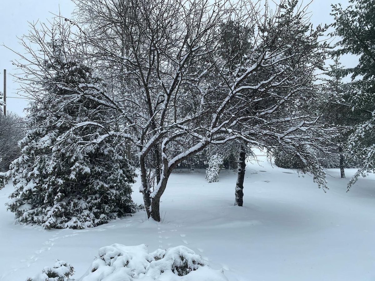 JKendrickAuthor's tweet photo. Winter returned this weekend.
Perfect for cozy reading with a hot beverage โ๏ธโ๏ธ๐
#winterwonderland #winter #january #readingweekend #weekendreads #cozytime https://t.co/8MfJkrqRgv