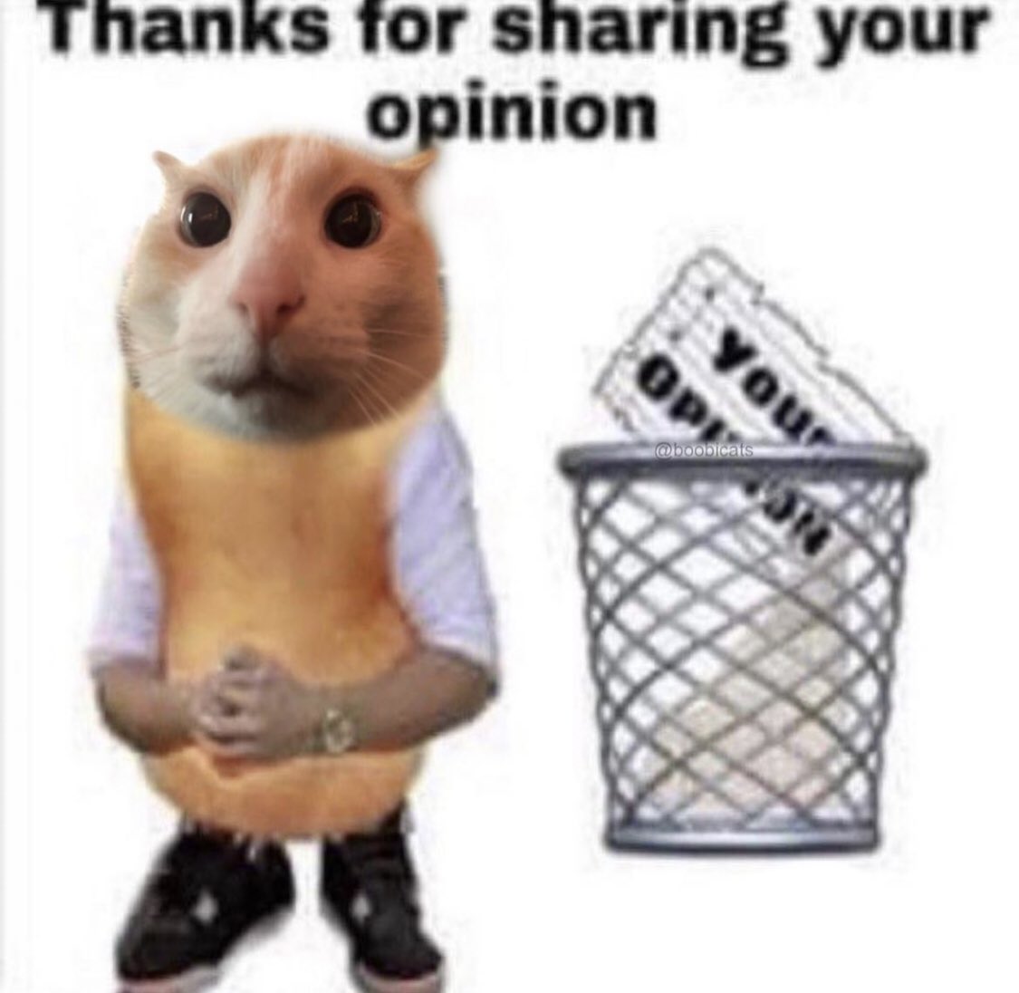 CyberGeekGuy's tweet photo. Twitter in a nutshell https://t.co/sJykiIf9HJ