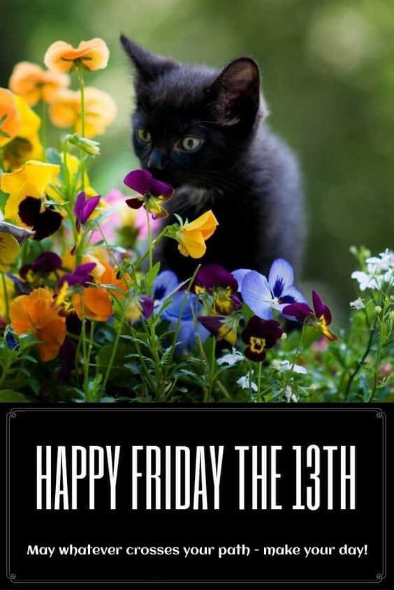NaturalPatches's tweet photo. HAPPY FRIDAY The 13th! May special luck be with you today! #fridaythe13th #luck #wellness https://t.co/4dImmxnjIR