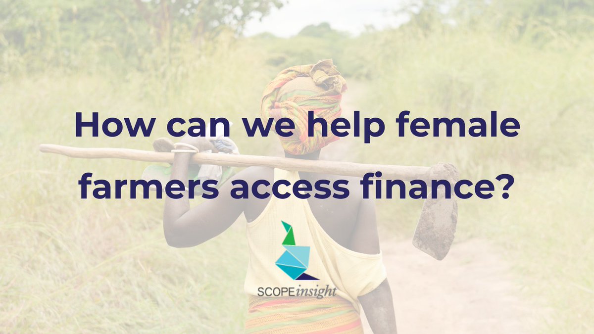 #Womeninag face challenges that male #farmers don't, like having a more challenging time accessing finance. 👩‍🌾 Luckily, there are ways we can help level the gender playing field!

Read more here 👉 scopeinsight.com/how-to-help-fe…