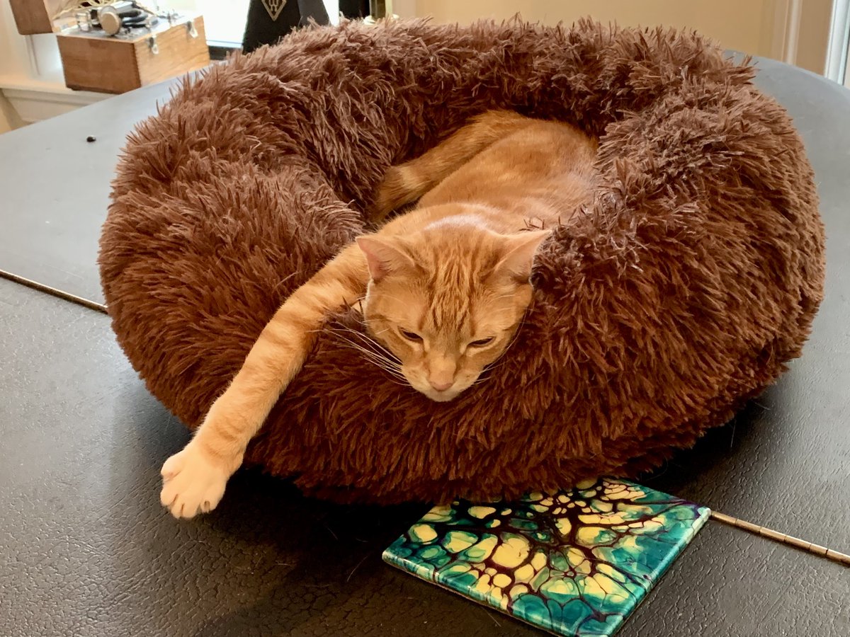 No, YOU’RE the one sleeping in a funny position.