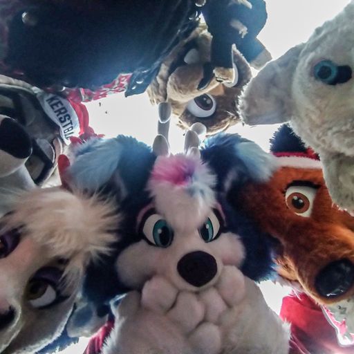 Yes hello there! I see youuuuuuu👀
Happy #FursuitFriday 💜

🐾 @marrynfox @Aurora_Collie @Gaokemoner  Tyros & CetaBever
📷 @Gaokemoner 
📍 Christmasevent in my hometown!