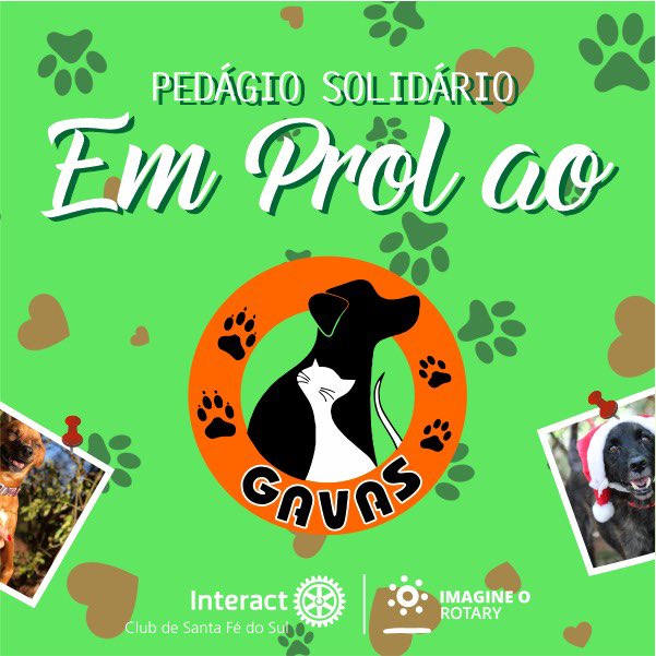 interactsfs's tweet image. No dia 19/11 o Interact Club de Santa Fé do Sul realizou um pedágio solidário em prol ao Gavas. Todo o dinheiro arrecadado foi doado para a instituição que ajuda na causa animal.🐱⚙️💞