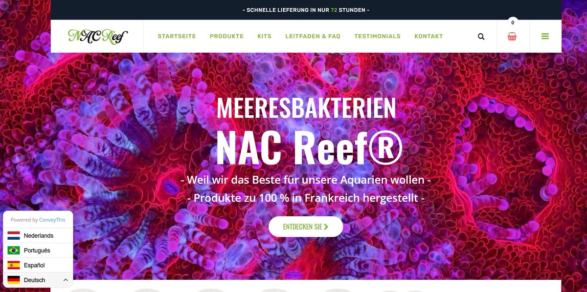 ConveyThis tweet media