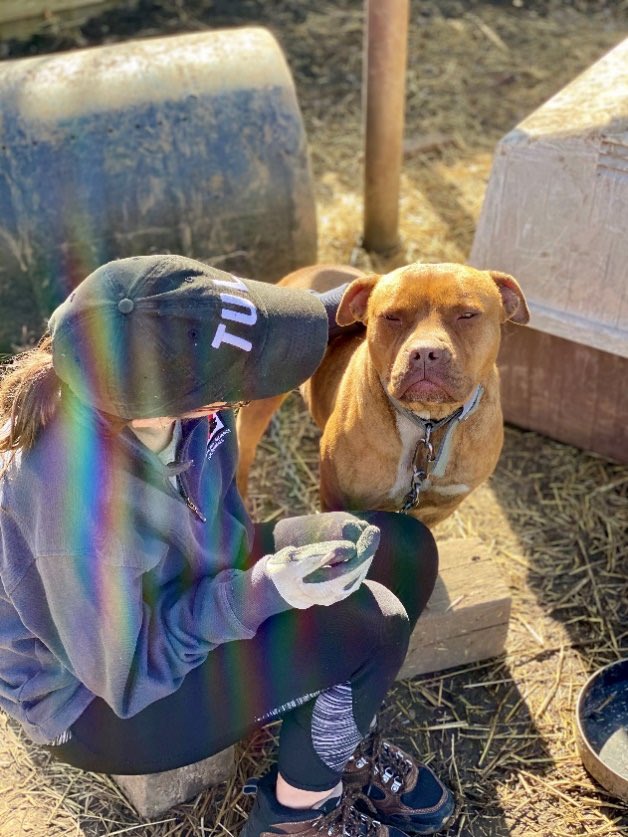 Kirkpatrick Foundation recently awarded a $20,000 grant to Oklahoma Alliance for Animals. They will use funds to reduce the number of dogs living on chains in central Oklahoma by educating owners on alternatives. OAA provides a multitude of resources to pet owners