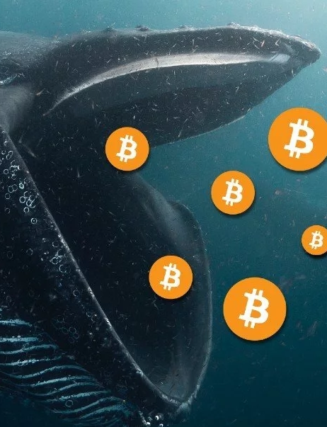 CryptoATrading's tweet photo. ✅ You do not need to be a professional trader.
✅ You do not need to understand technical analysis.
✅ No need to lose money.

When you join our channel, all you have to do is follow us exactly and take profit.

🔥Over 95% accuracy on our signals https://t.co/D2Krozjcvy
