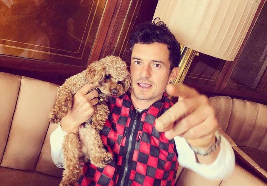 in honour of orli’s birthday, drop some of your favourite pics of him! here are a few of my favs &lt;3