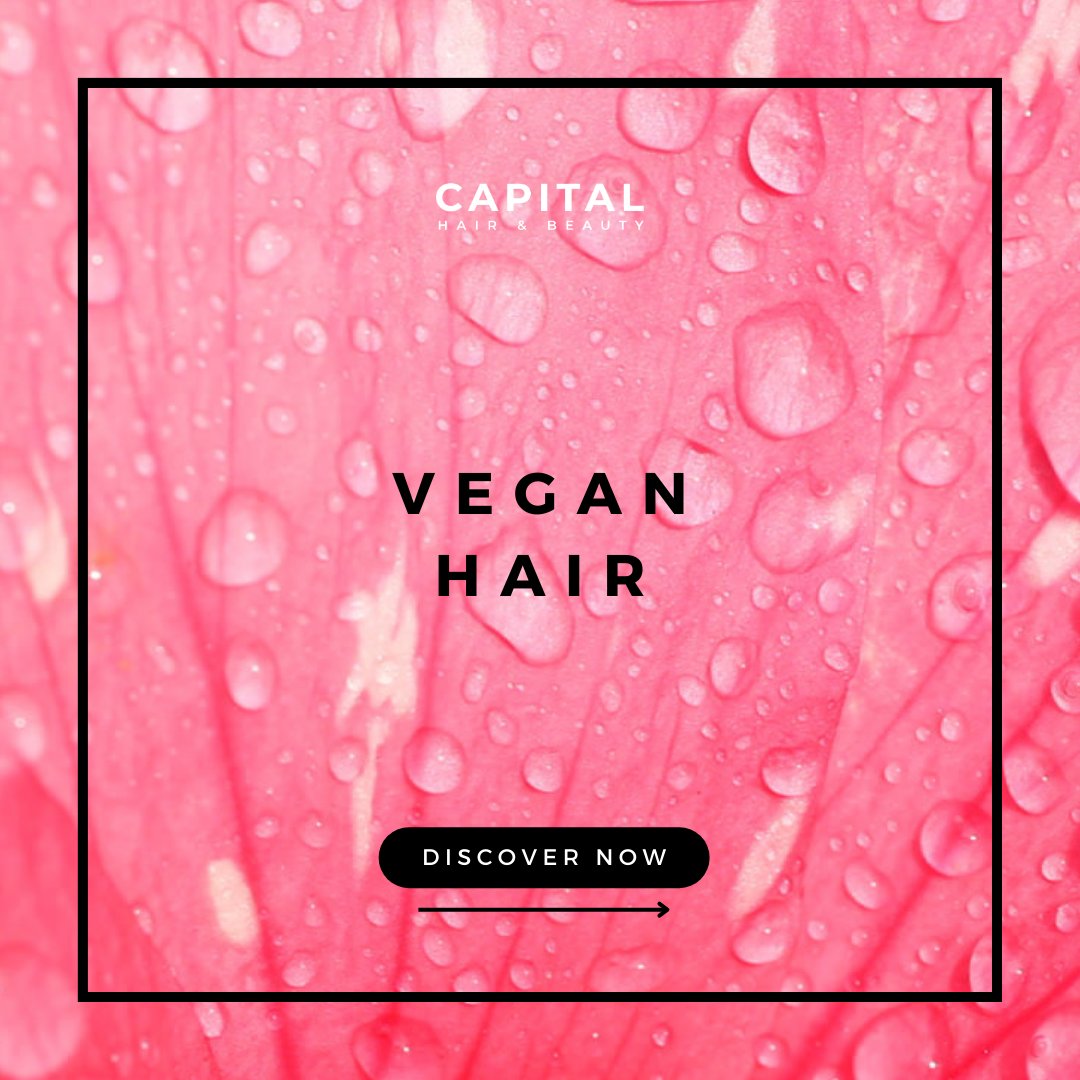 CapitalHair's tweet photo. Going vegan in January🌱🤍 Capital has you covered with our selection of vegan hair care products, including #Olaplex for repair, #NXT Hair Colour for long-lasting colour, and #ColourWow for styling. #Veganuary #VeganHair
Shop Vegan Hair Today: https://t.co/yxUVeqM4UC https://t.co/m07VP14iWm