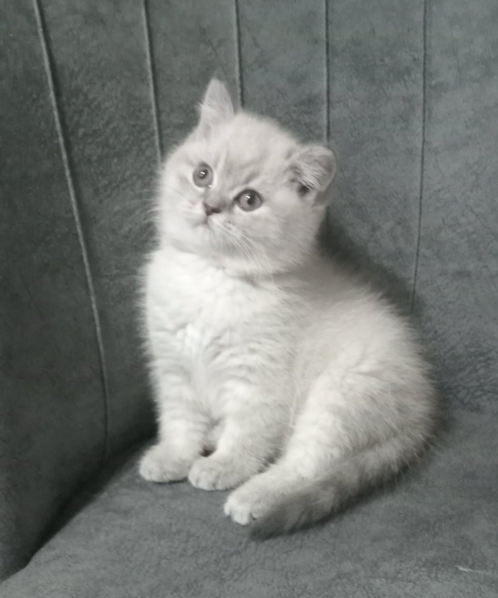 Şaşı yaptı kendini 😃 güzel kızım