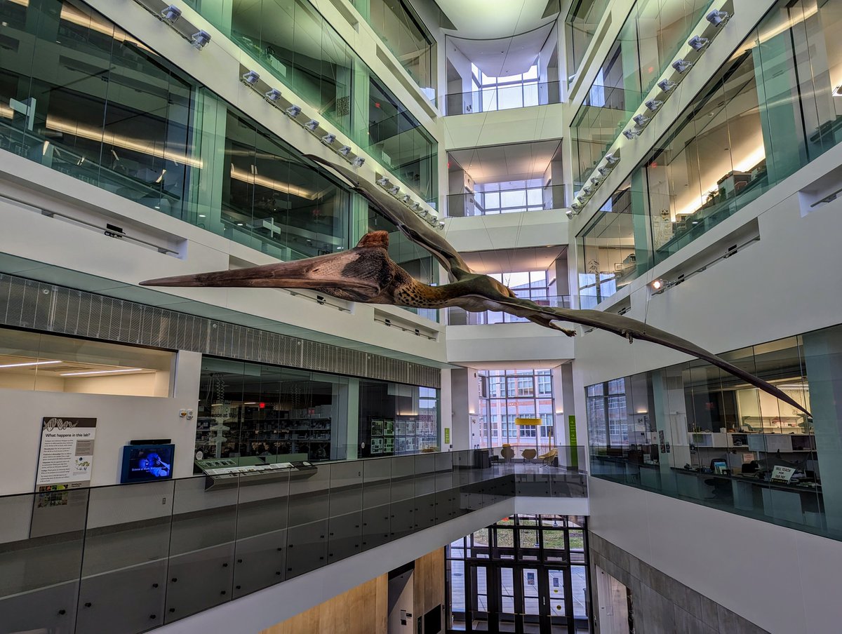 Rob Denton tweet media